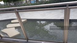 Eco Sanctuary (D23), Condominium #155335342